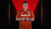 Go Away Wtf GIF by Bundesliga
