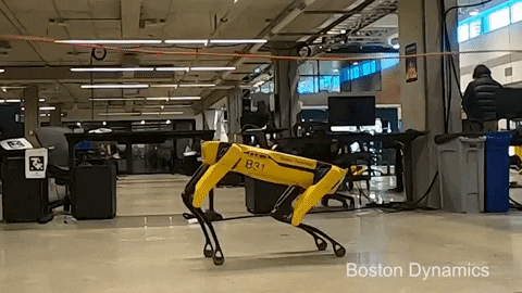 MorningChalkUp giphyupload crossfit robots GIF