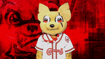 El Paso Yes GIF by El Paso Chihuahuas