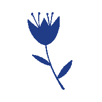 matteoiori illustration flower plant botanic Sticker