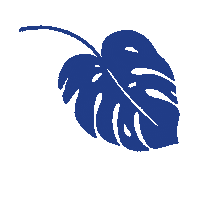matteoiori illustration plant botanic yam Sticker