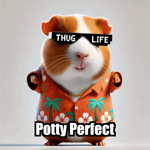 Guinea Pig Hygiene GIF by Guinea Gambino