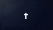 Events Jongeren GIF by LIMITLESS-NL