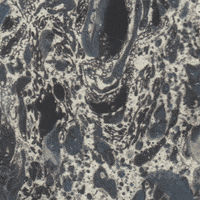 GIF by Liaizon Wakest