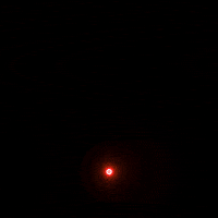 Art Design GIF by smeccea