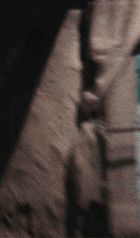 bruce campbell GIF by Maudit