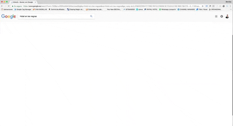 google suggest pro GIF