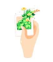 sekaiofkangae flower photography plant fleur Sticker