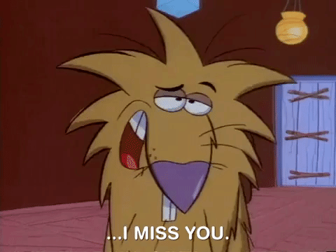 nickrewind giphydvr nicksplat angry beavers giphyab010 GIF