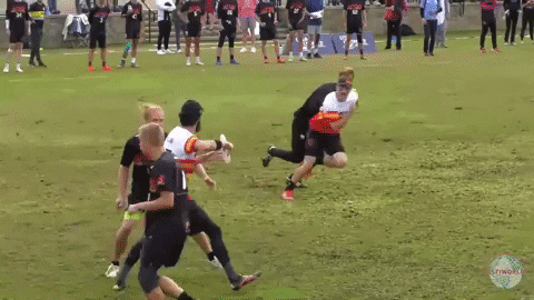 flikulti ultimate frisbee flik GIF