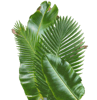 Jurassic Park Dinosaur Sticker by Oasis Arts Inc