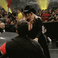 Vince Mcmahon Slap GIF by Trish Stratus