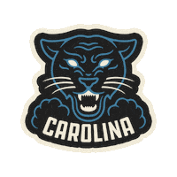 queen city charlotte Sticker by Glorydaysclt