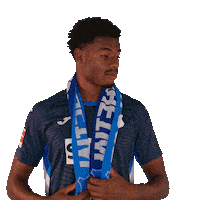 Ice Cold Sport Sticker by TSG Hoffenheim