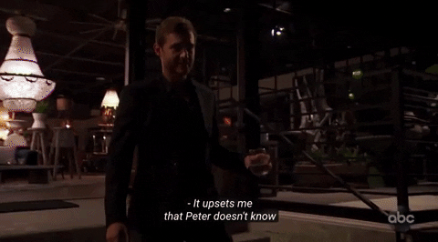interstatesandheartbreak giphyupload bachelor peterep2 GIF
