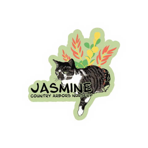 CountryArbors jasmine nursery countryarbors countryarborsnursery Sticker