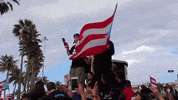 puerto rico bad bunny protests residente rickyrenuncia GIF