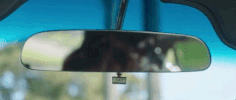 belong dashboard confessional GIF by Cash Cash
