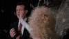stunned bill murray GIF