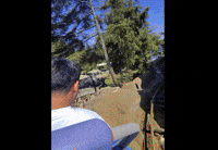shayanelhawk hawk cooked shayanelhawk shayanel GIF