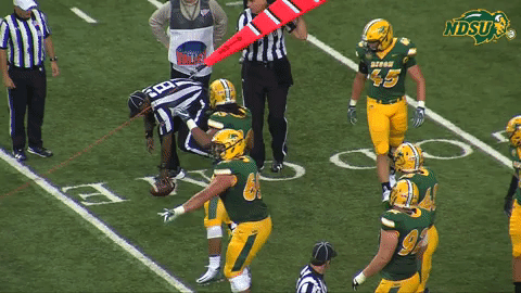 north dakota state football GIF by NDSU Athletics