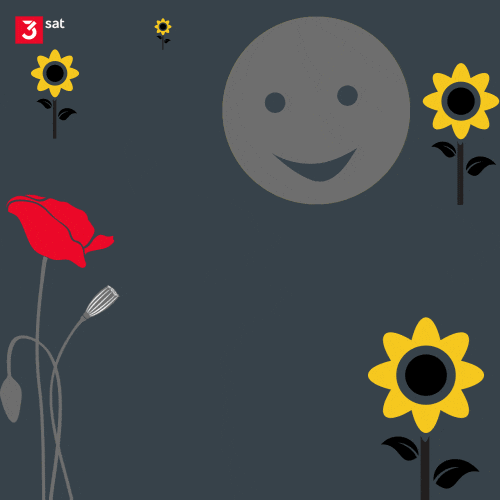 Katalog Marzen GIFs Find & Share on GIPHY