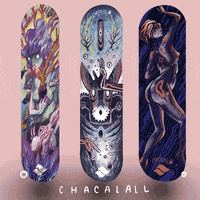 Skateboard GIF by Gabriel