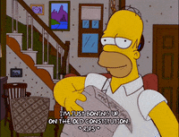 homer simpson GIF