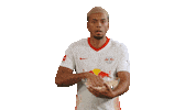 Netflix What Sticker by RB Leipzig