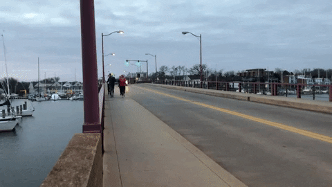 dominiquescarbrough giphygifmaker GIF