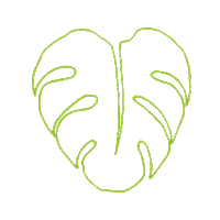ApsiGraph leaf monstera apsi apsioffice Sticker