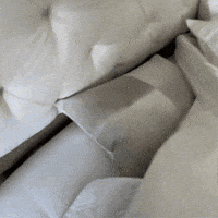 Im Ready Lets Go GIF by Anna Leigh Waters