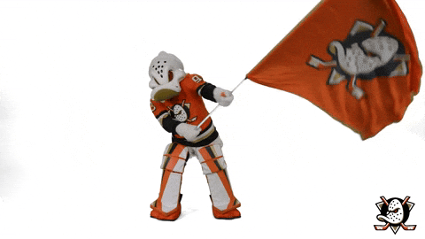 Orange County Hockey GIF by Anaheim Ducks