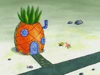 season 7 the curse of bikini bottom GIF by SpongeBob SquarePants