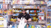 shocked cats GIF by Great Big Story