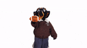 Football Mascots GIF by utmartin