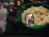 Pop Punk Facetime GIF by State Champs