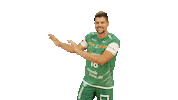 Team Handball Sticker by SCDHFK