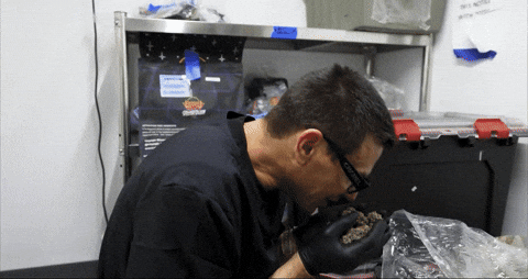 Bloom Andrew GIF by Exclusive Brands