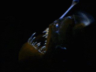 cosmos bioluminescence GIF by Global Entertainment