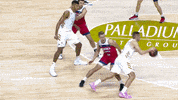 Real Madrid Basketball GIF by ACB