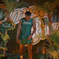 South Florida Horns Up GIF by USF Athletics