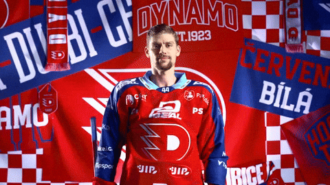 Hockeytown GIF by HC Dynamo Pardubice