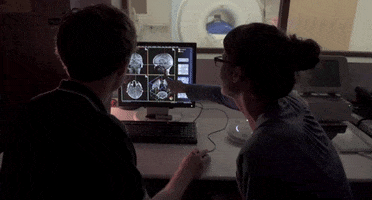 Ut Austin University GIF by College of Natural Sciences, UT Austin