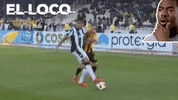 football paokfamily GIF by PAOK FC
