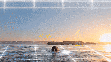 Sharks Jaws GIF by Shark Week