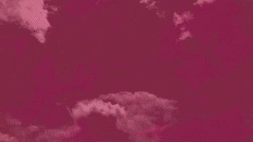 Art Film GIF by jorgemariozuleta