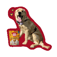 Happy Dog Sticker by Awesome Pawsome Treats