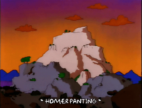 Season 3 Beach GIF by The Simpsons