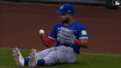 Lets Go Sport GIF by Toronto Blue Jays